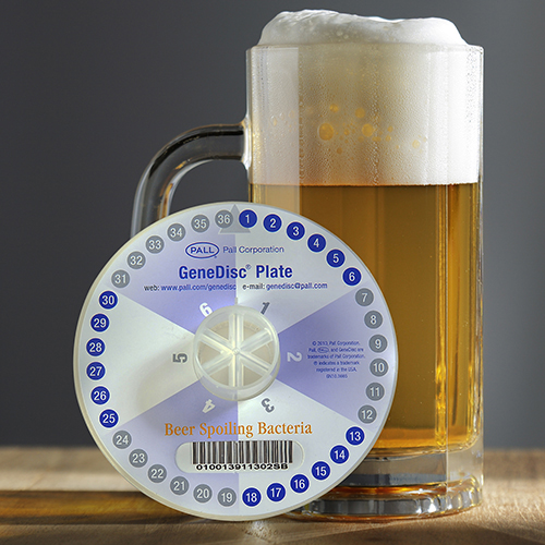 GeneDisc® Beer Spoilage Bacteria Produktbild