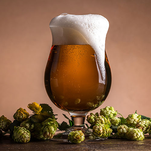 beer-craft-micro-breweries