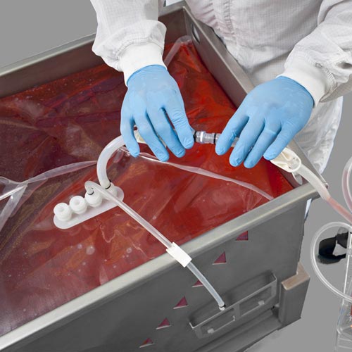 Allegro™ TK8 3D Biocontainers and Standard Systems product photo Primary L