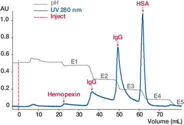 HEA HyperCel Chromatography Sorbent Chromatogram HEA HyperCel Chromatography Sorbent Chromatogram