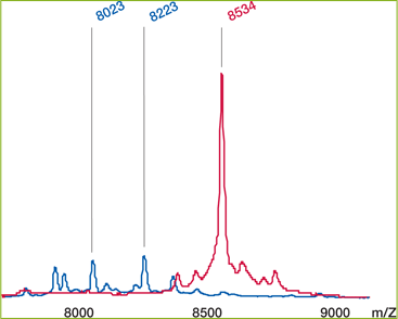 SELDI Molecular Mass Analysis SELDI Molecular Mass Analysis