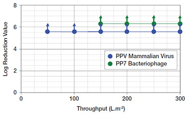 Figure 1 Figure 1