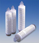 Fluorodyne® II Filter Cartridges product photo Primary L