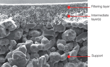 Cross section view of Membralox ceramic membrane 