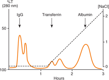 Analytical Separation of Human Plasma Proteins on Blue Trisacryl M Affinity Chromatography Sorbent Analytical Separation of Human Plasma Proteins on Blue Trisacryl M Affinity Chromatography Sorbent
